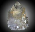 Cactus Quartz (Amethyst) Crystal - South Africa #33917-1
